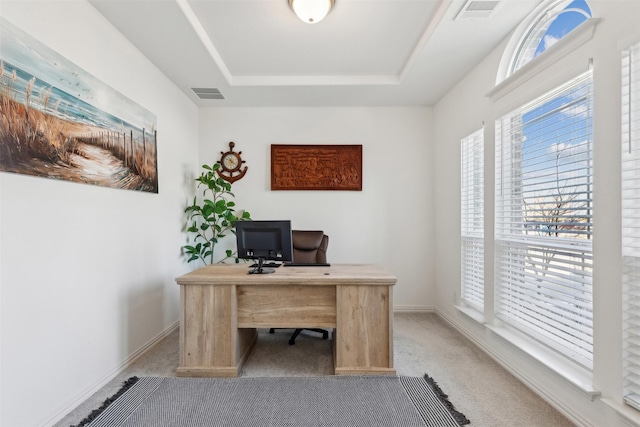 office with light carpet, a raised ceiling, and a healthy amount of sunlight