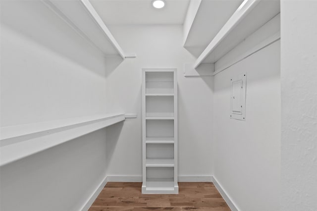 walk in closet with hardwood / wood-style flooring