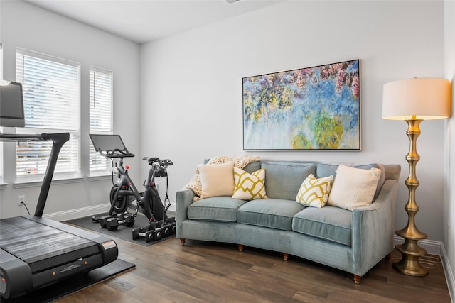 exercise area featuring dark hardwood / wood-style flooring