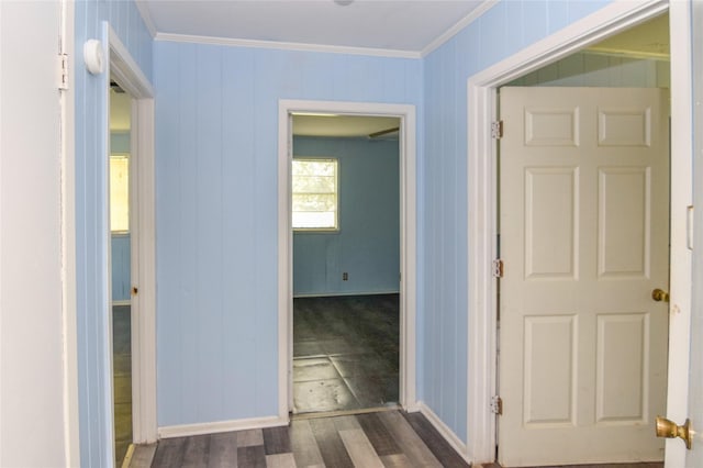 hallway featuring crown molding and dark hardwood / wood-style flooring