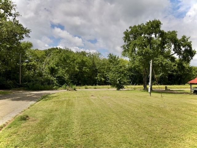 view of home's community with a lawn