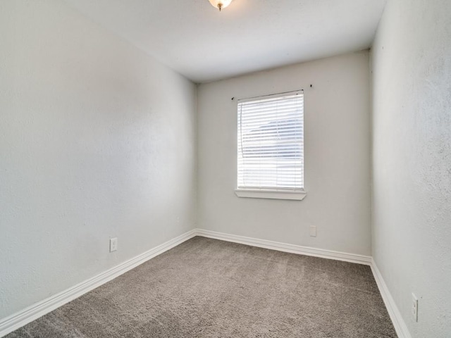 empty room featuring carpet floors