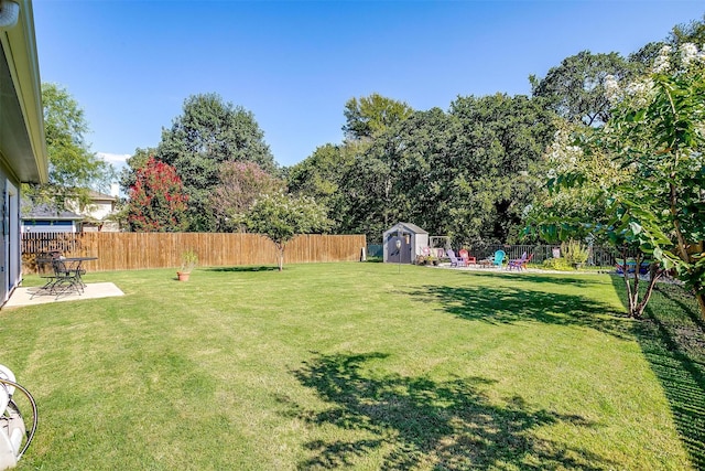 view of yard with a storage unit and a patio