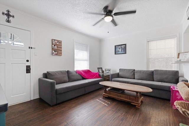 living room with crown molding, ceiling fan, dark hardwood / wood-style floors, and a textured ceiling