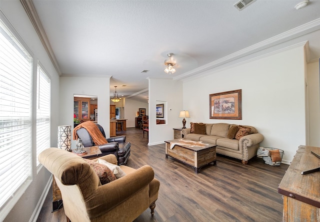 living room with dark wood-type flooring, ornamental molding, and a textured ceiling