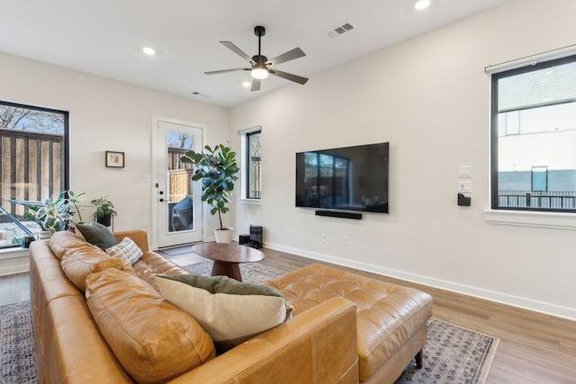 living area featuring plenty of natural light, baseboards, and wood finished floors