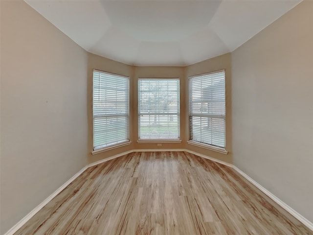 spare room with light wood-type flooring