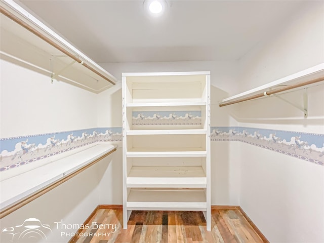 spacious closet with light wood-type flooring