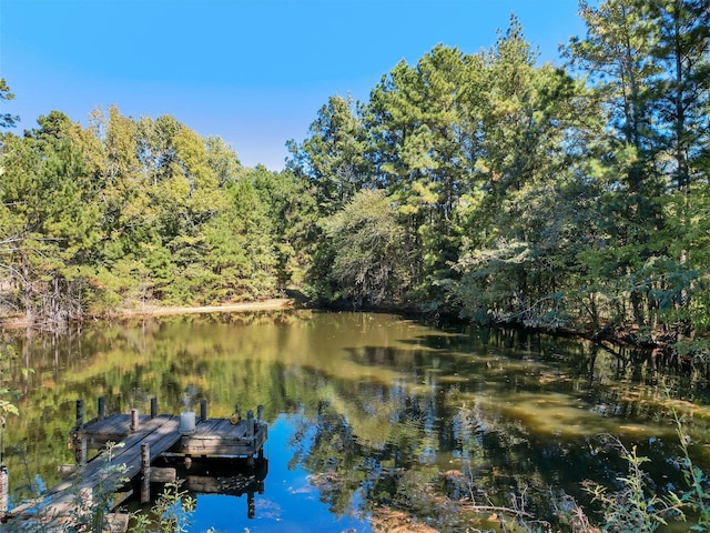 view of dock with a water view