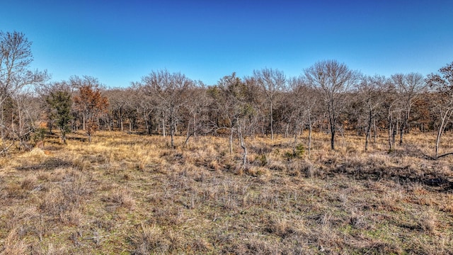 Listing photo 3 for 429 Hemet Way, Weatherford TX 76087