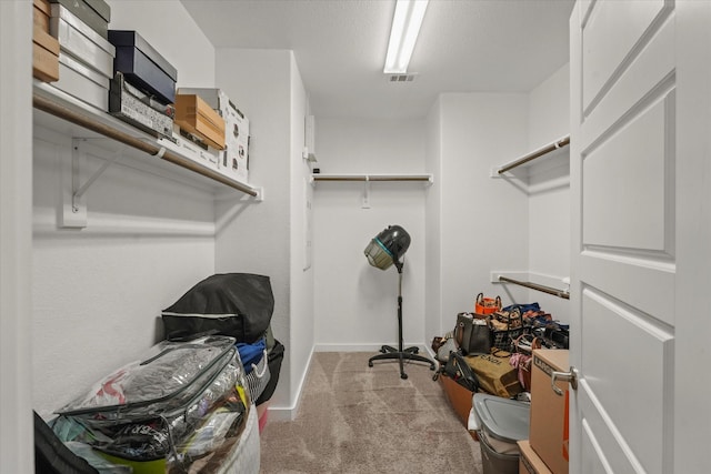 spacious closet with light carpet