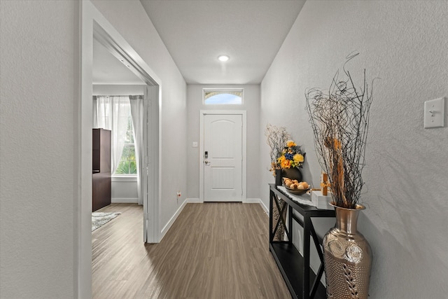 entrance foyer featuring hardwood / wood-style floors