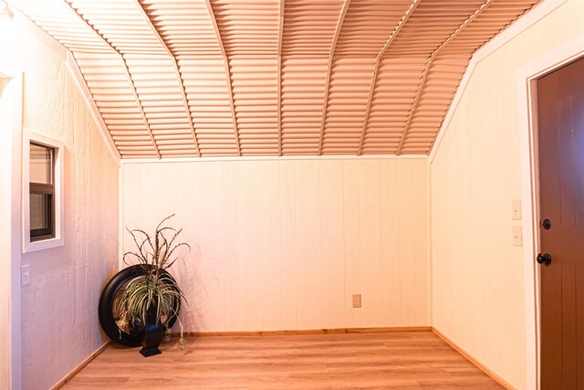 entrance foyer featuring lofted ceiling and light wood-type flooring