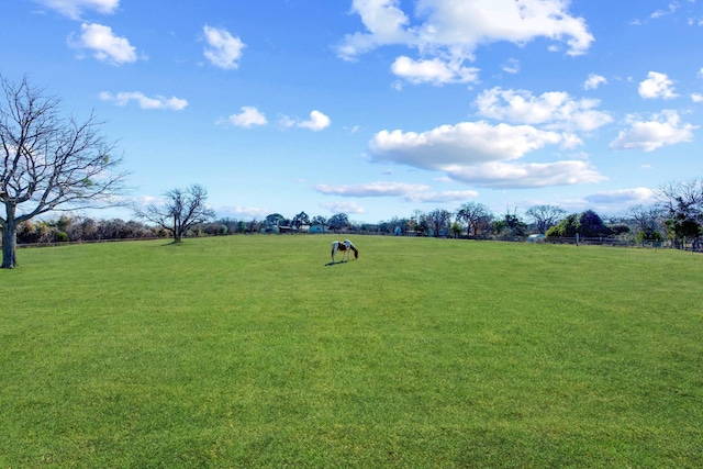 view of community with a rural view and a yard