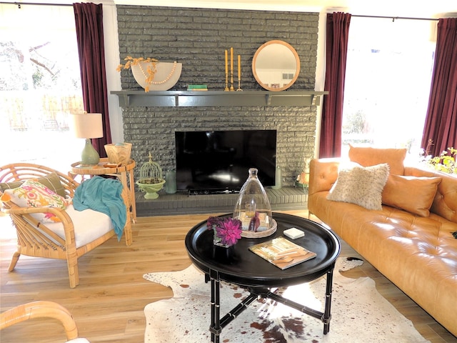 living room with a fireplace and wood-type flooring