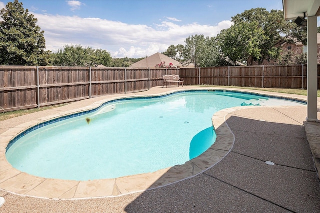 view of swimming pool