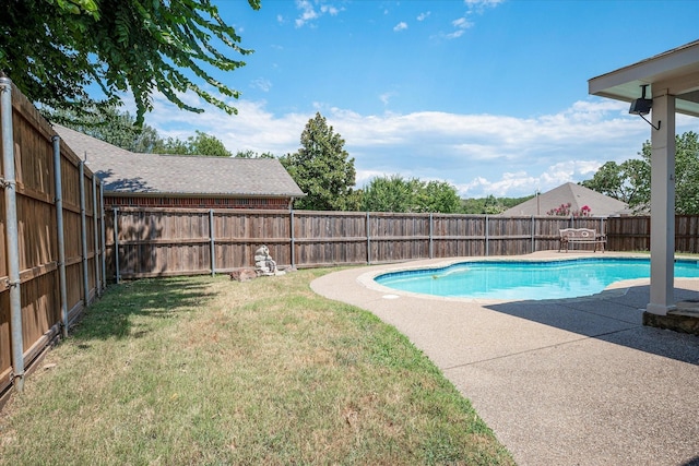 view of swimming pool with a patio area and a lawn