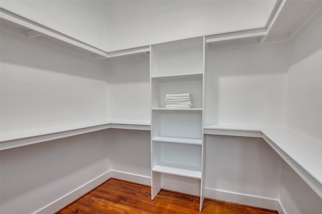 walk in closet featuring hardwood / wood-style floors