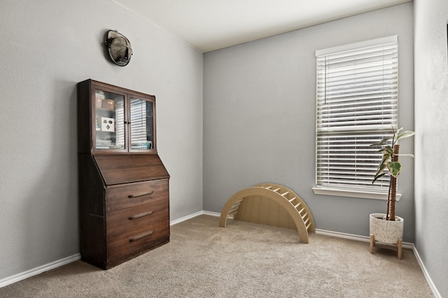 sitting room featuring light colored carpet