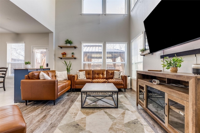 living room with a wealth of natural light