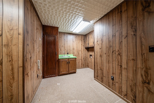 additional living space featuring wooden walls, sink, and light carpet