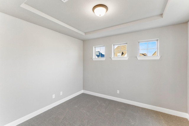 carpeted empty room featuring a raised ceiling