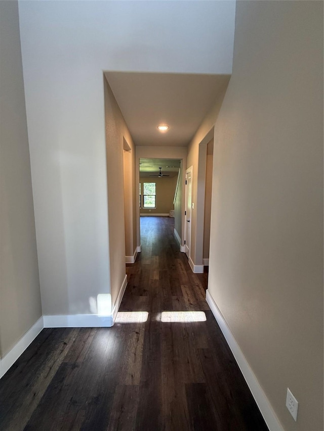 241 Zebrastone Way, Poolville, TX 76487 - hall with wood finished floors and baseboards