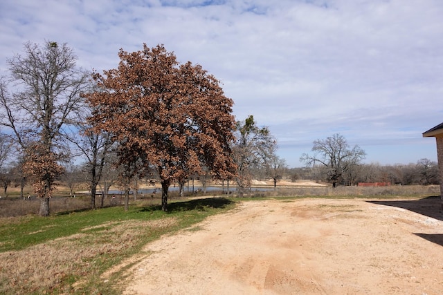 view of yard with a rural view