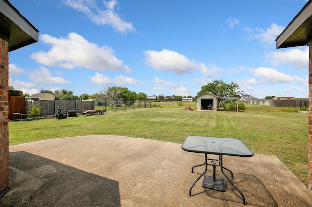 view of yard featuring a patio and a storage unit