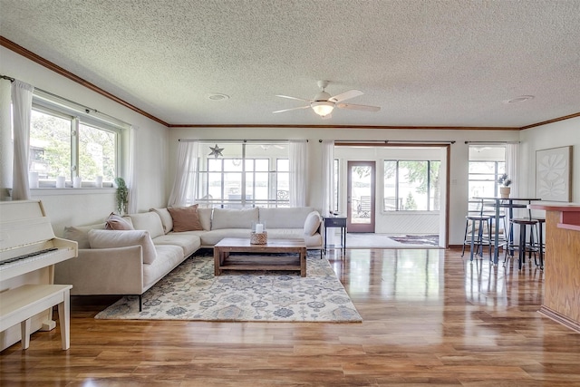 living area featuring wood finished floors, a textured ceiling, crown molding, and ceiling fan