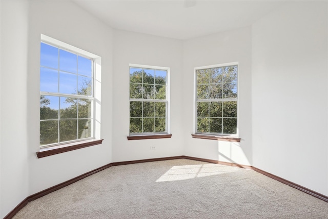 unfurnished room featuring carpet floors