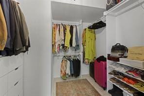 view of spacious closet