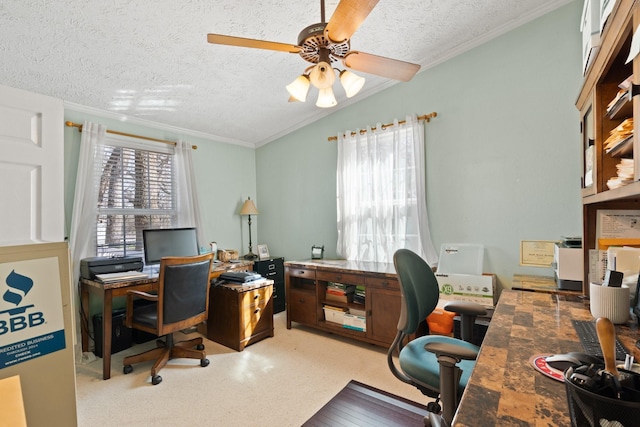 office with ornamental molding, ceiling fan, a textured ceiling, and a healthy amount of sunlight