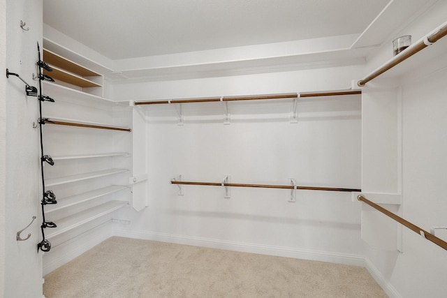 walk in closet featuring light colored carpet