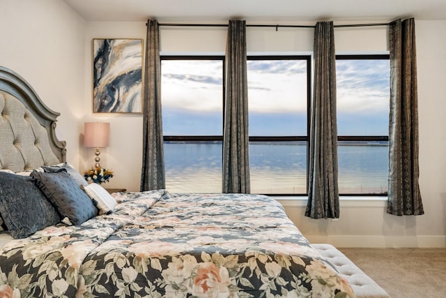 bedroom featuring a water view and carpet