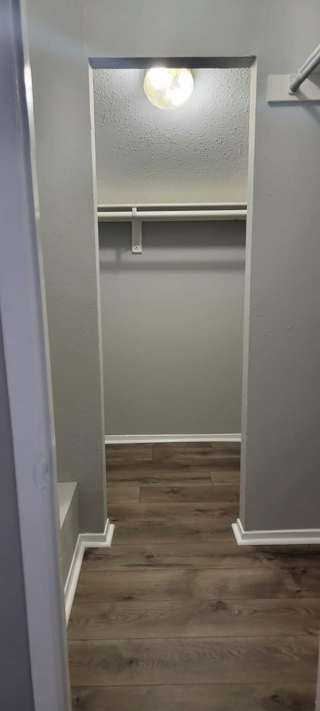 spacious closet with dark hardwood / wood-style floors