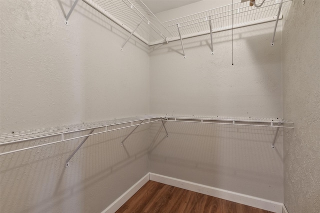 spacious closet with wood-type flooring