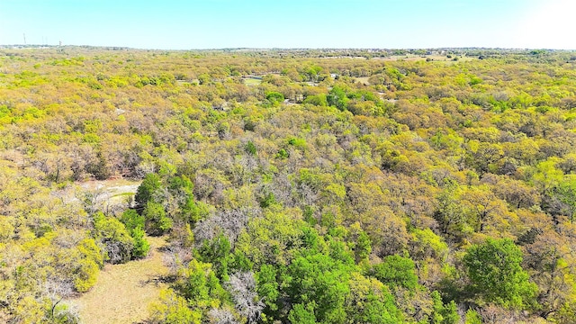 7885 Old Agnes Rd, Poolville, TX 76487