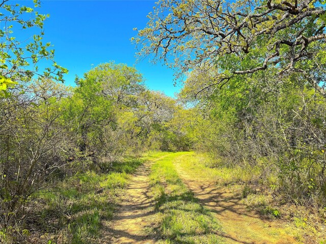 7885 Old Agnes Rd, Poolville, TX 76487