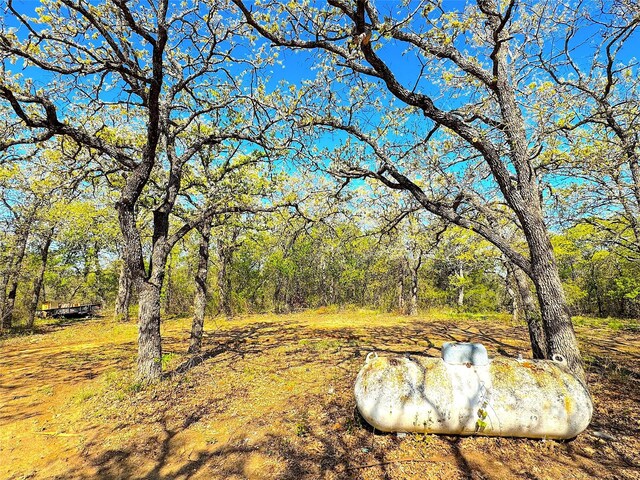 7885 Old Agnes Rd, Poolville, TX 76487