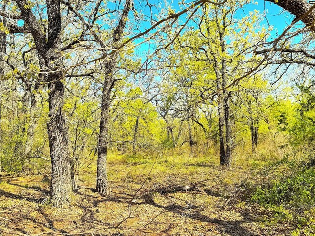 7885 Old Agnes Rd, Poolville, TX 76487