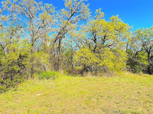 7885 Old Agnes Rd, Poolville, TX 76487
