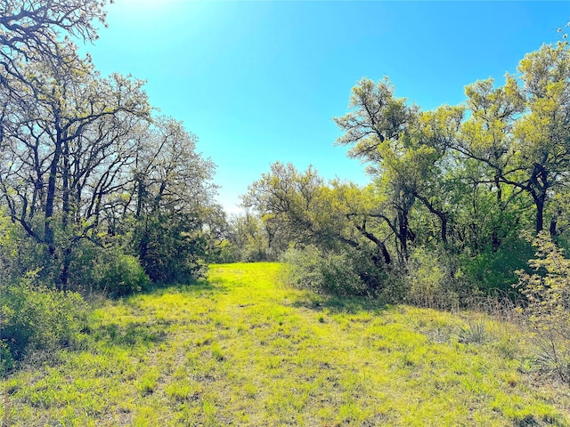 7885 Old Agnes Rd, Poolville, TX 76487