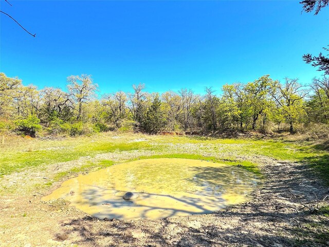 7885 Old Agnes Rd, Poolville, TX 76487