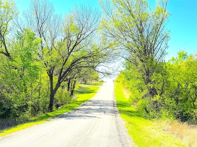 7885 Old Agnes Rd, Poolville, TX 76487