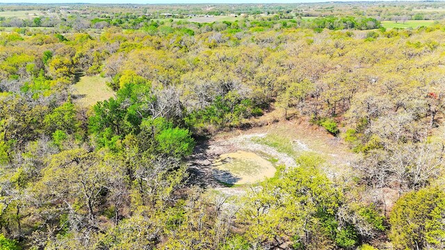 7885 Old Agnes Rd, Poolville, TX 76487