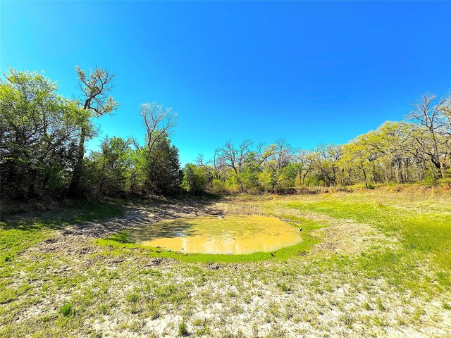 7885 Old Agnes Rd, Poolville, TX 76487