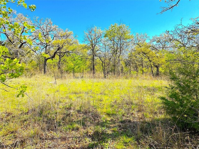 7885 Old Agnes Rd, Poolville, TX 76487