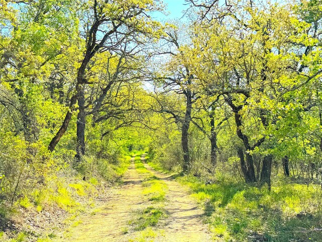 7885 Old Agnes Rd, Poolville, TX 76487