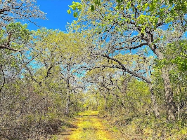 7885 Old Agnes Rd, Poolville, TX 76487
